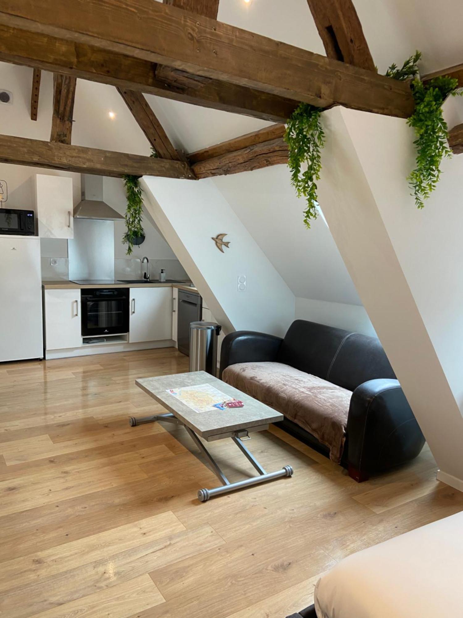 La Champenoise La Tannerie Daire Troyes Dış mekan fotoğraf