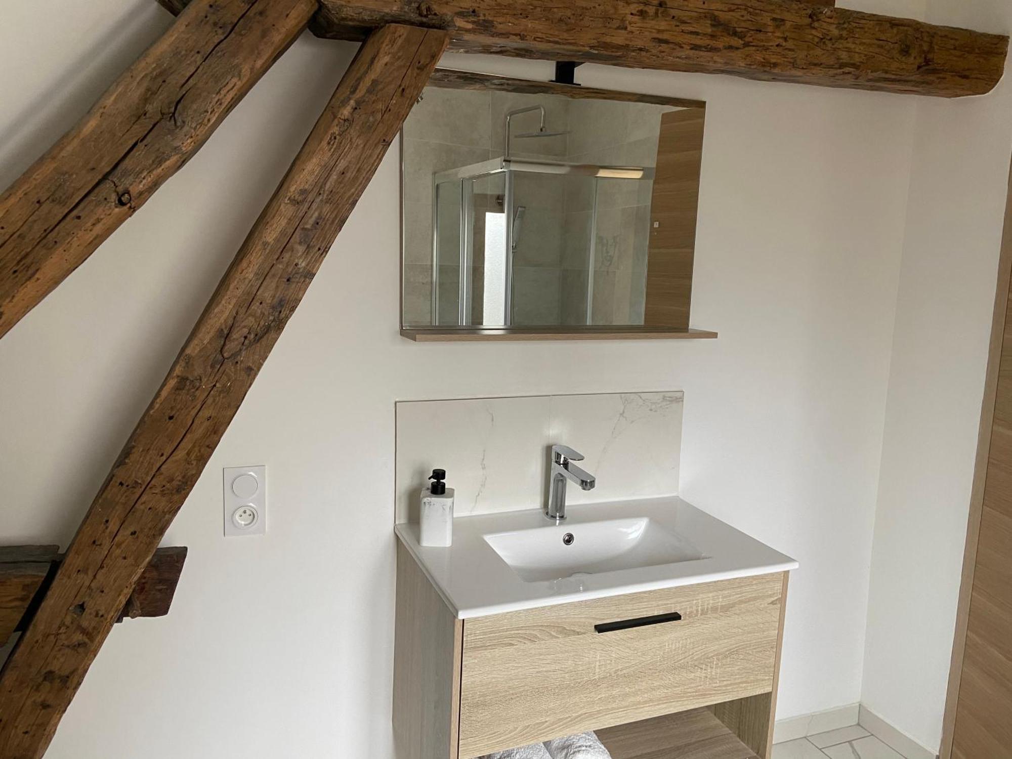 La Champenoise La Tannerie Daire Troyes Dış mekan fotoğraf