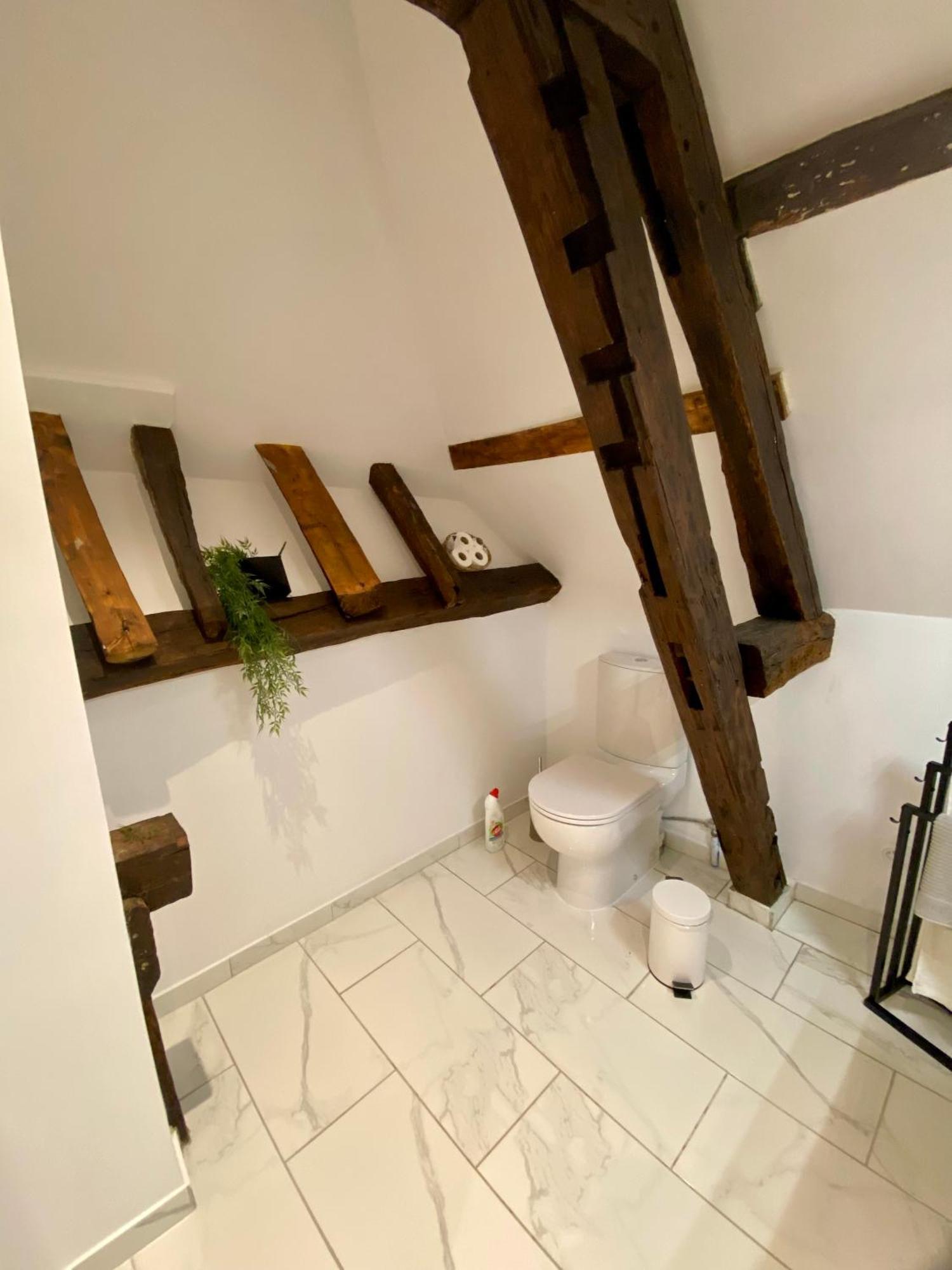 La Champenoise La Tannerie Daire Troyes Dış mekan fotoğraf