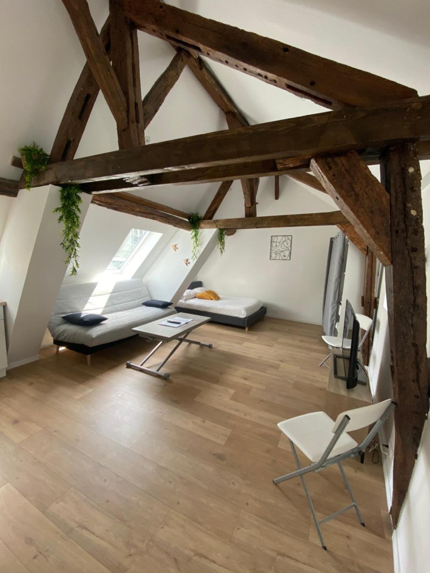 La Champenoise La Tannerie Daire Troyes Dış mekan fotoğraf